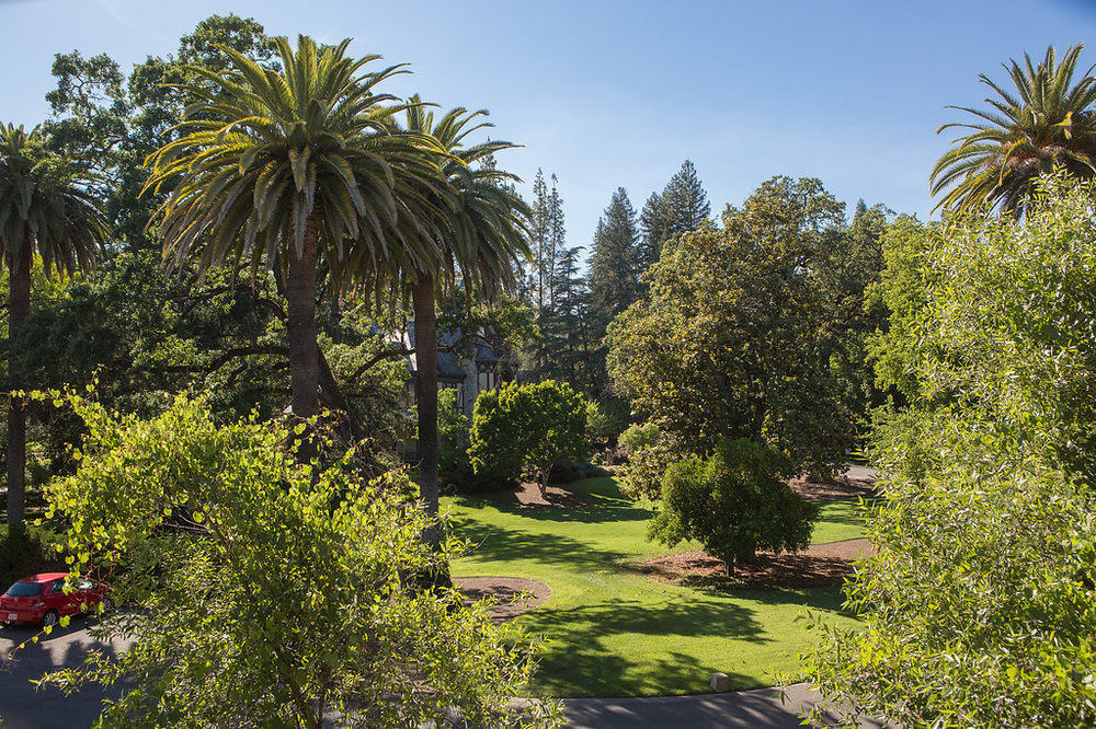 Alila Napa Valley, A Hyatt Resort St. Helena Exterior photo